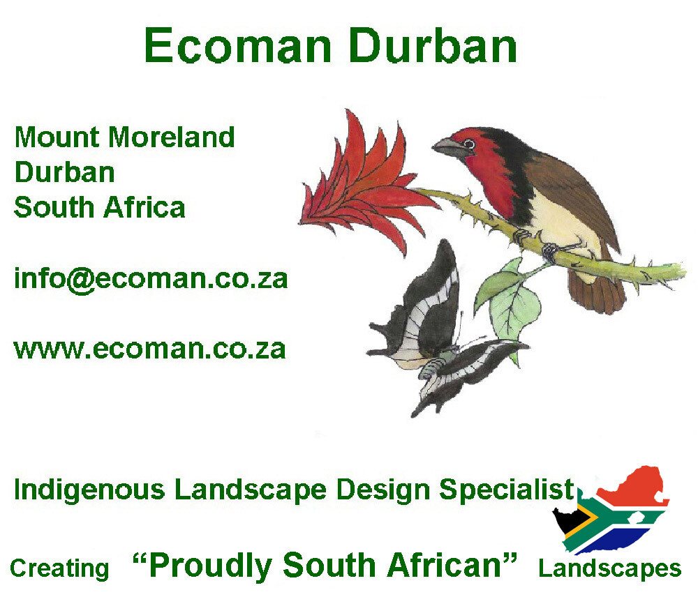 Ecoman