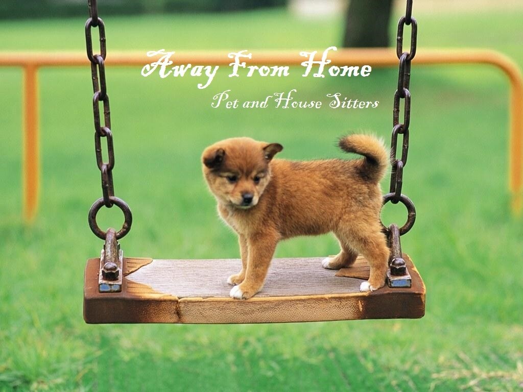Away From Home - Pet and Home Sitting Service