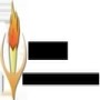 Isibani education and training
