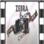 Zebra crossing photography