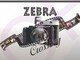 Zebra crossing photography