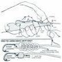 Carp Rigs