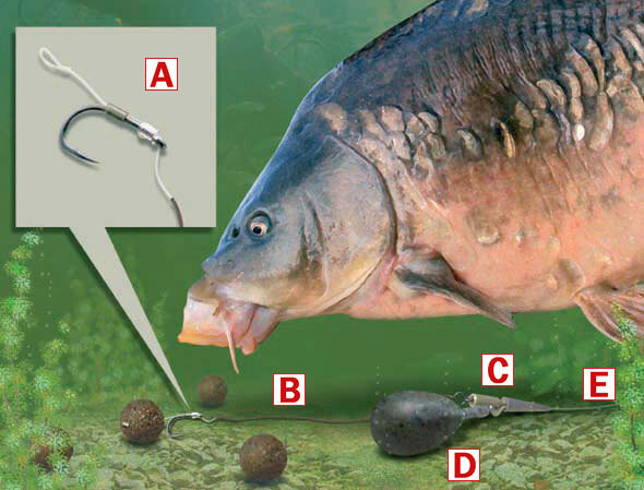 Carp Fishing Tips