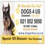 DOGS 4 US Professional Groomers