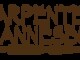 Carpenter Johannesburg