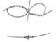 The Blood Knot