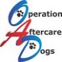 Operation After Care for Dogs