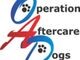Operation After Care for Dogs