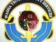 Washatsotsi Security Company