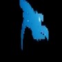 Pest Control Durban