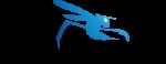 Pest Control Durban