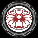 Marigold Design