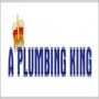 A Plumbing King