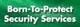 Born-To-Protect Security Services
