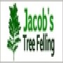 Jacob's Tree Felling
