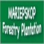 Mariepskop Forestry Plantation