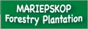 Mariepskop Forestry Plantation