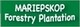 Mariepskop Forestry Plantation