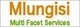 Mlungisi Multi Facet Services