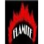 Flamite (Pty) Ltd