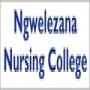 Ngwelezana Nursing College