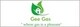 Gee Gas