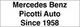 Mercedes Benz Picotti Auto Since 1958