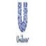 Unilever South Africa (Pty) Ltd
