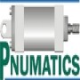 Pnumatics (Cape)
