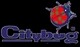 Citybug Shuttle Services