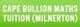 Cape Bullion Maths Tuition (Milnerton)