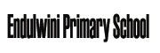 Endulwini Primary School