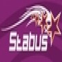Stabus Tours CC