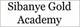 Sibanye Gold Academy