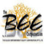 THE BLACK EMPOWERMENT EQUITY CORPORATION