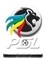 Premier Soccer League