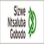 Sizwe Ntsaluba Gobodo