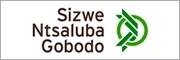 Sizwe Ntsaluba Gobodo