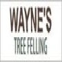 Wayne's Tree Felling
