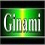Ginami Trading 36 cc