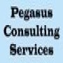 Pegasus Consulting Services