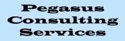 Pegasus Consulting Services