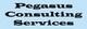 Pegasus Consulting Services