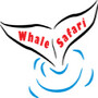 Whale Safari