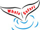 Whale Safari