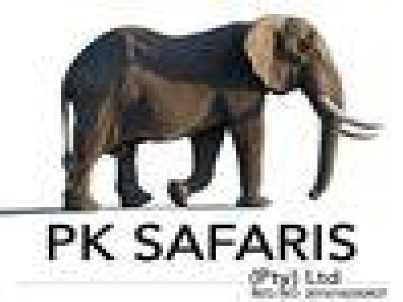 Private Kruger Park Safaris