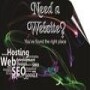 HVS Hosting & Designing