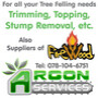Argon Services