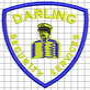 Darling Security Services