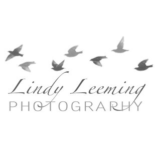 Lindy Leeming Wedding Photography